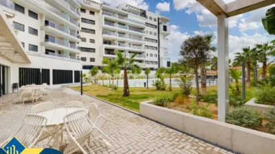Pis – Orihuela, Dehesa de Campoamor - Més