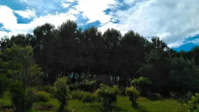 Terreno en venta en Beniarbeig - Vista 4