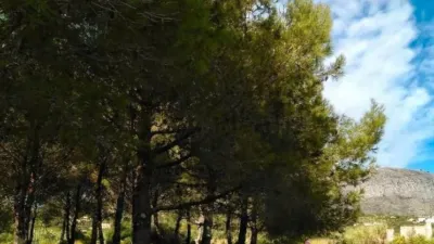 Terreno en venta en Beniarbeig - Vista 5