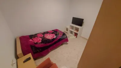 Apartment in Sant Andreu de La Barca photo 10