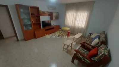 Apartment in Sant Andreu de La Barca photo 28