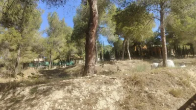 Terreno en venta en Tibi - Vista 2