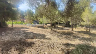 Terreno en venta en Tibi - Vista 5