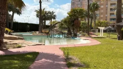 Apartment on Carrer Hisenda de l'Administrador photo 33