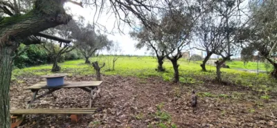 Chalet en venta en Calle Lugar Lebratos, Las Vaguadas-Carretera de Valverde (Badajoz Capital) de 349.900 €
