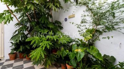 House in Grazalema photo 19