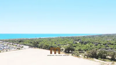 Pis – Guardamar del Segura - Vista 5