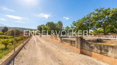 House in Enguera photo 11