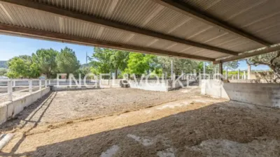 House in Enguera photo 13
