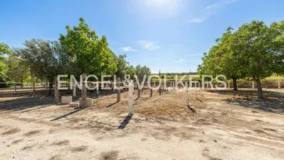 House in Enguera photo 17