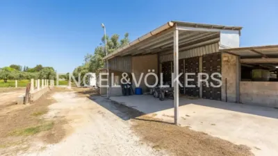 House in Enguera photo 19