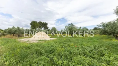 House in Enguera photo 22