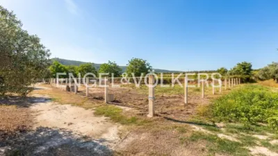 House in Enguera photo 23