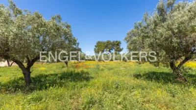 House in Enguera photo 24