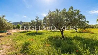House in Enguera photo 25