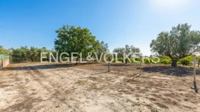 House in Enguera photo 28