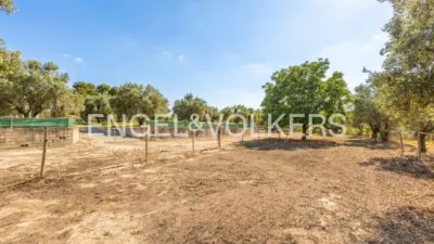 House in Enguera photo 29