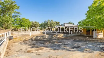 House in Enguera photo 34