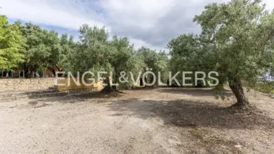 House in Enguera photo 52