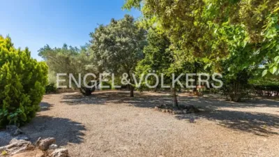 House in Enguera photo 57