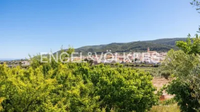 House in Enguera photo 60