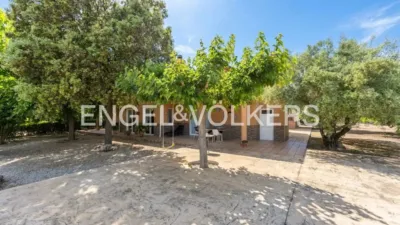 House in Enguera photo 61