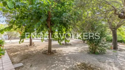 House in Enguera photo 66