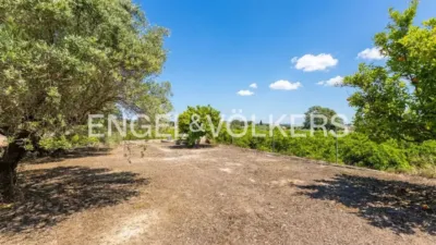 House in Enguera photo 68