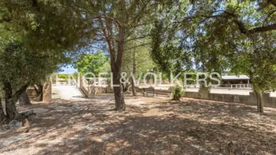House in Enguera photo 6