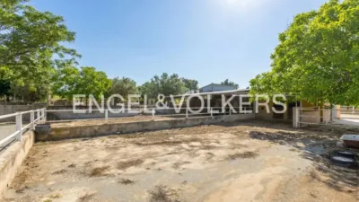 House in Enguera photo 9
