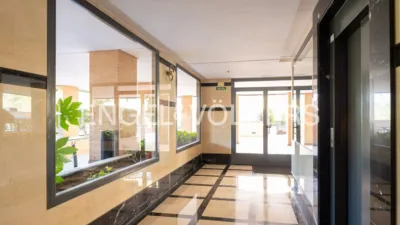 Apartment in Rejas photo 15
