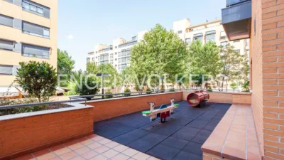 Apartment in Rejas photo 19