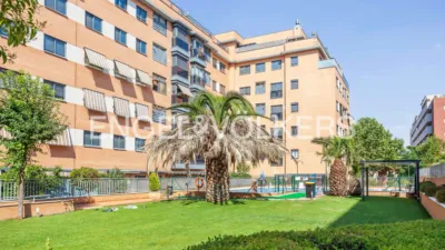 Apartment in Rejas photo 20