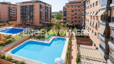 Apartment in Rejas photo 21