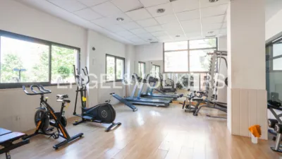 Apartment in Rejas photo 23