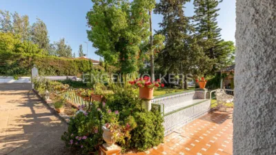 Rustic villa in El Rompido photo 11