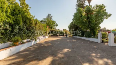Rustic villa in El Rompido photo 13