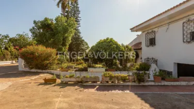 Rustic villa in El Rompido photo 14