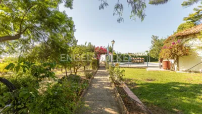 Rustic villa in El Rompido photo 23