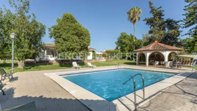 Rustic villa in El Rompido photo 28