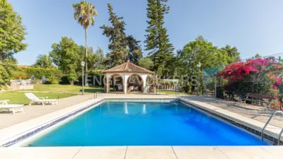 Rustic villa in El Rompido photo 2