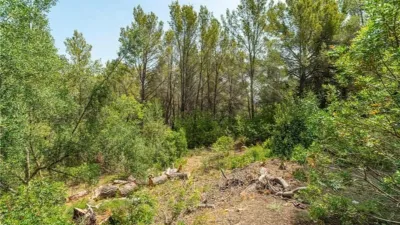 Chalet in Esporles photo 23