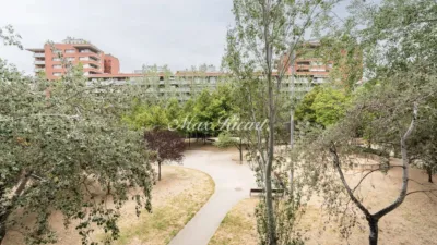 Piso en alquiler en Calle N-A - Imagen 31