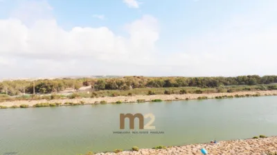 Pis – Guardamar del Segura - Vista 3