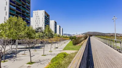 Duplex Penthouse on Avinguda d'Olof Palme photo 37