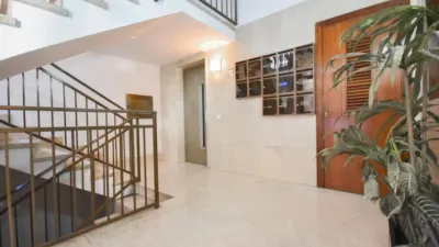 Apartment on Carrer de Molí d'En Perot photo 19