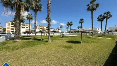 Apartment in Playa Flamenca-Las Piscinas photo 12