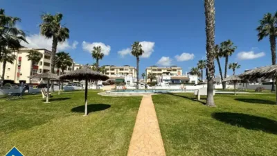Apartment in Playa Flamenca-Las Piscinas photo 20