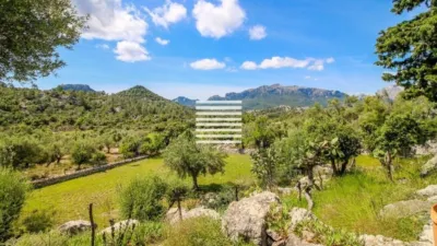 Chalet in Escorca photo 6