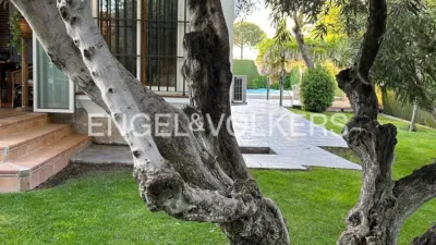 Casa en El Olivar de Mirabal photo 45